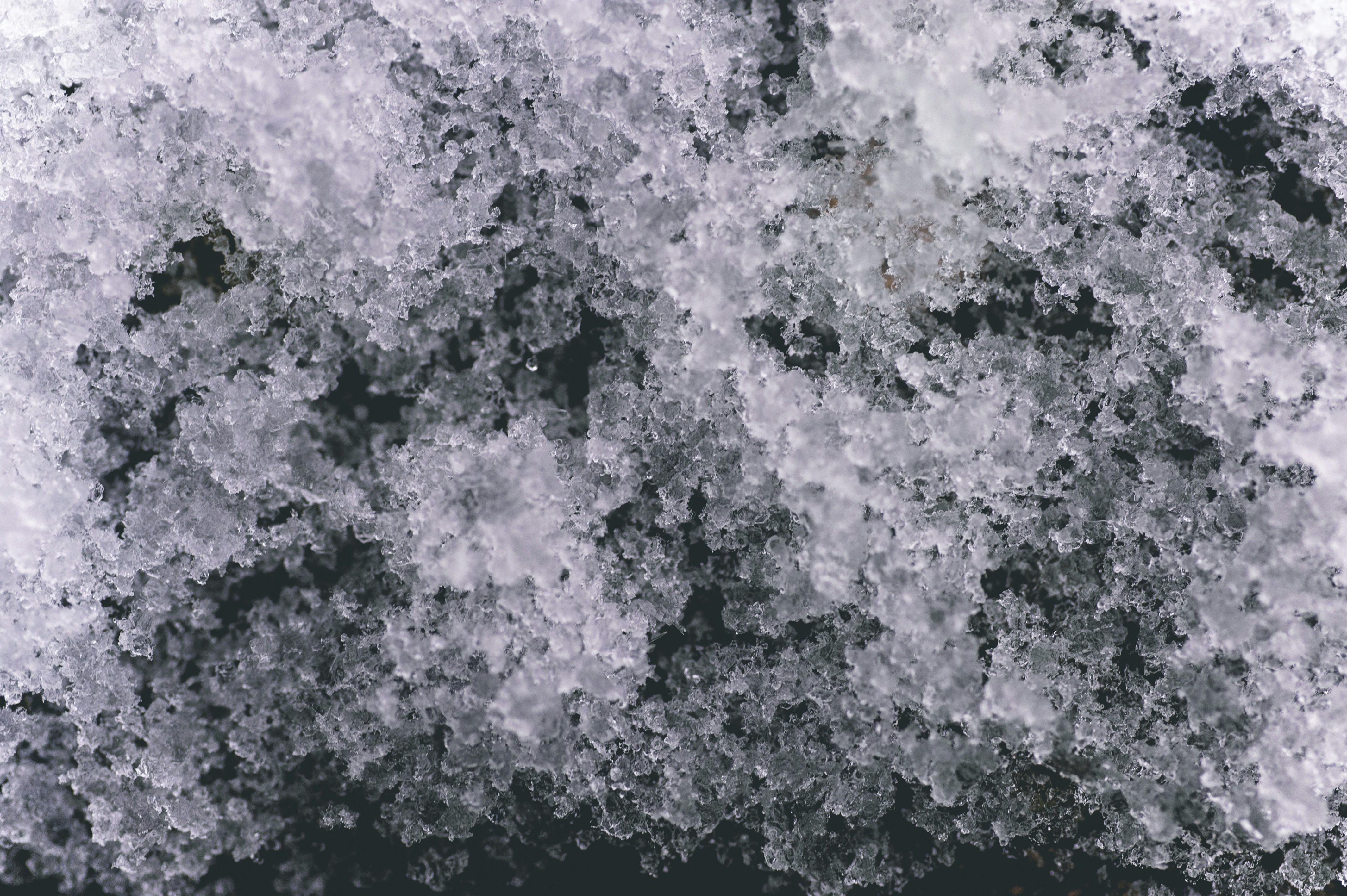 Photo by markbastard