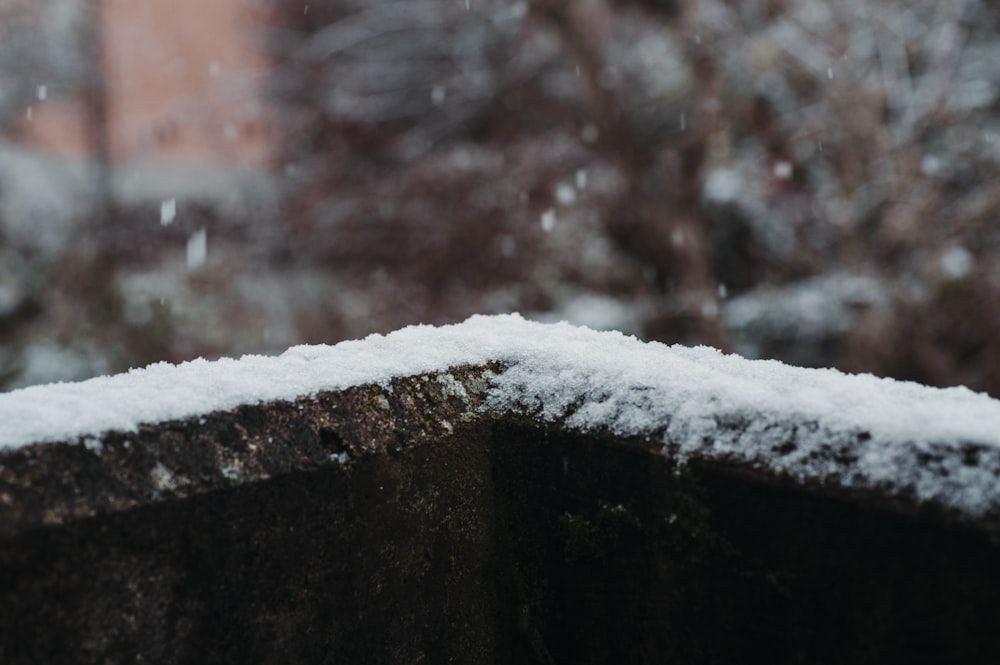 macro photography of snow on plank