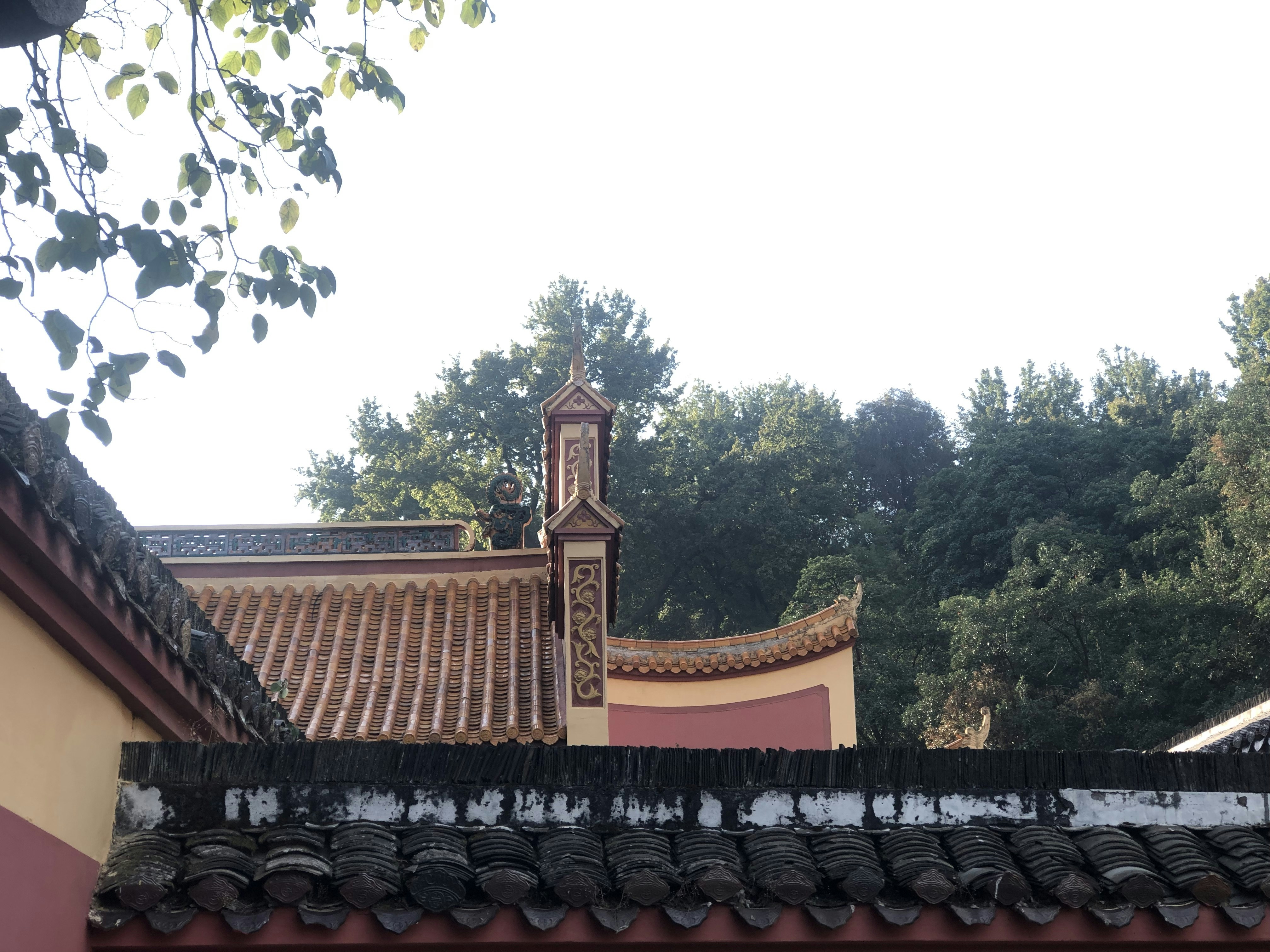 Photo by wl20190326