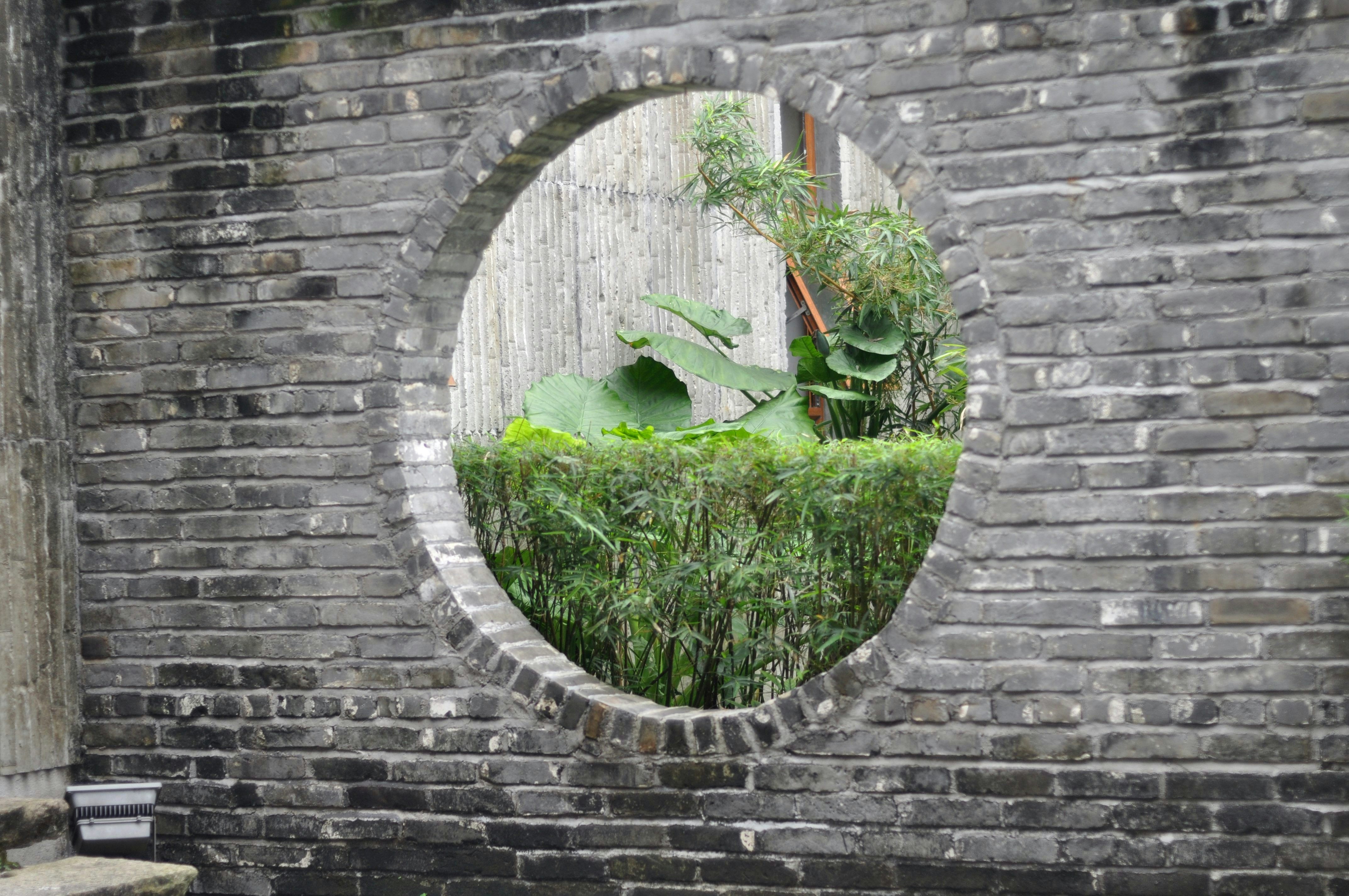 闲情绿意透墙来 Chinese Style Hollow out Wall Courtyard 中式 Leisure and green Scene come through the wall,Login Wallpaper