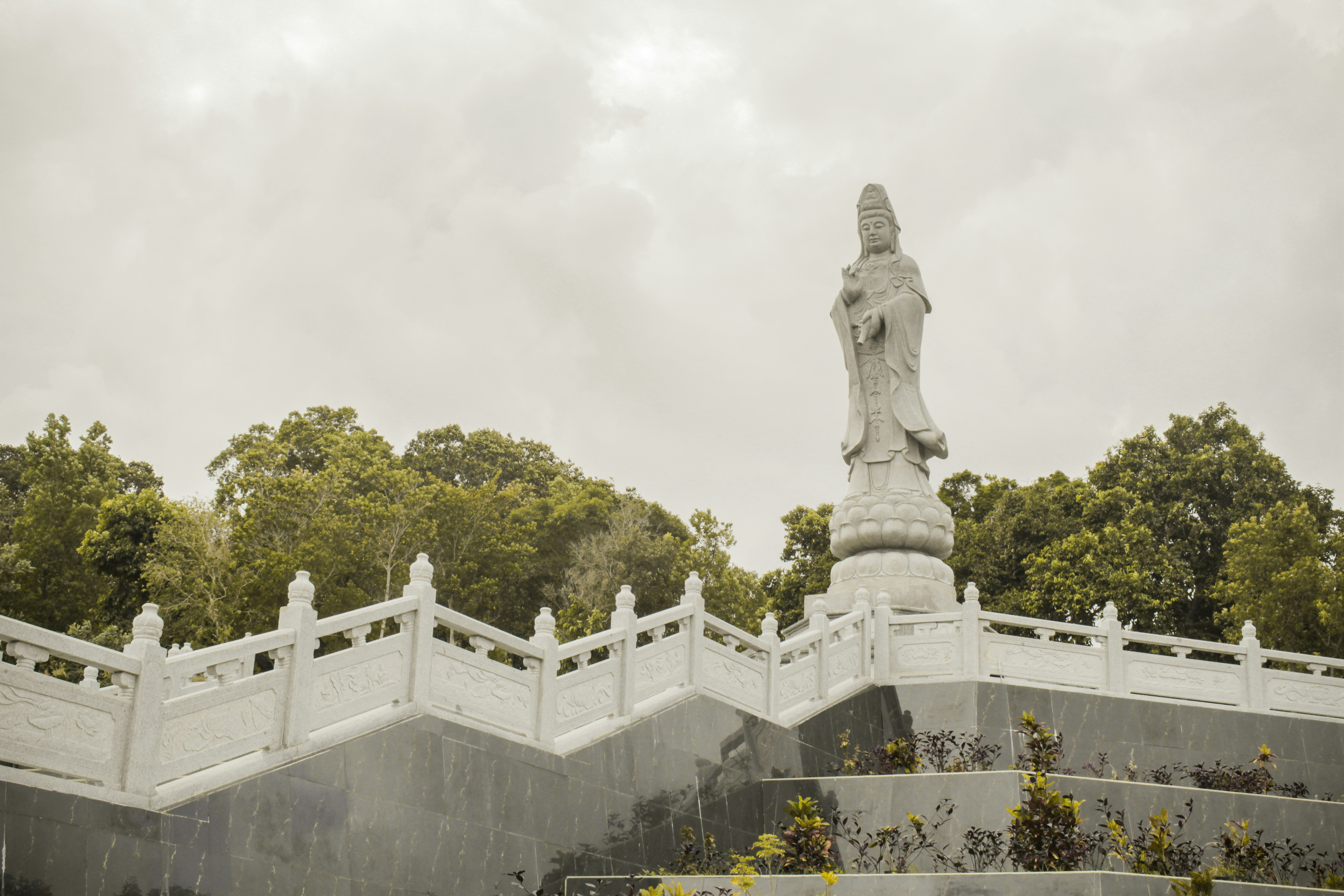 灰色の空の下、緑の木々に囲まれて立っている仏陀