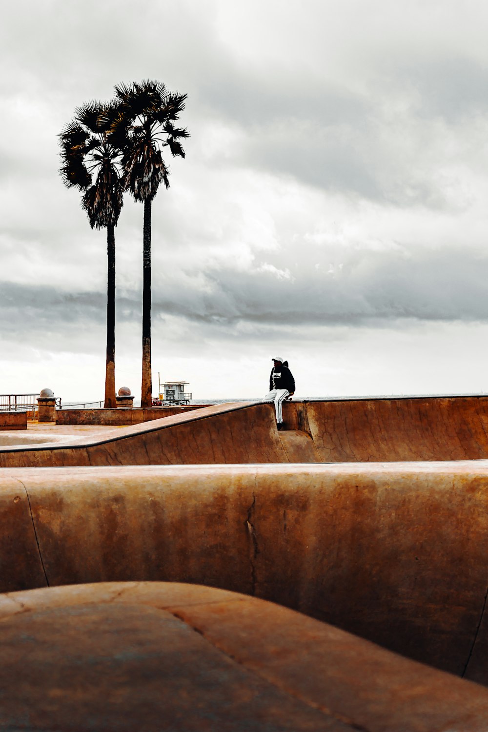 man sitting on bench near palm trees during daytime