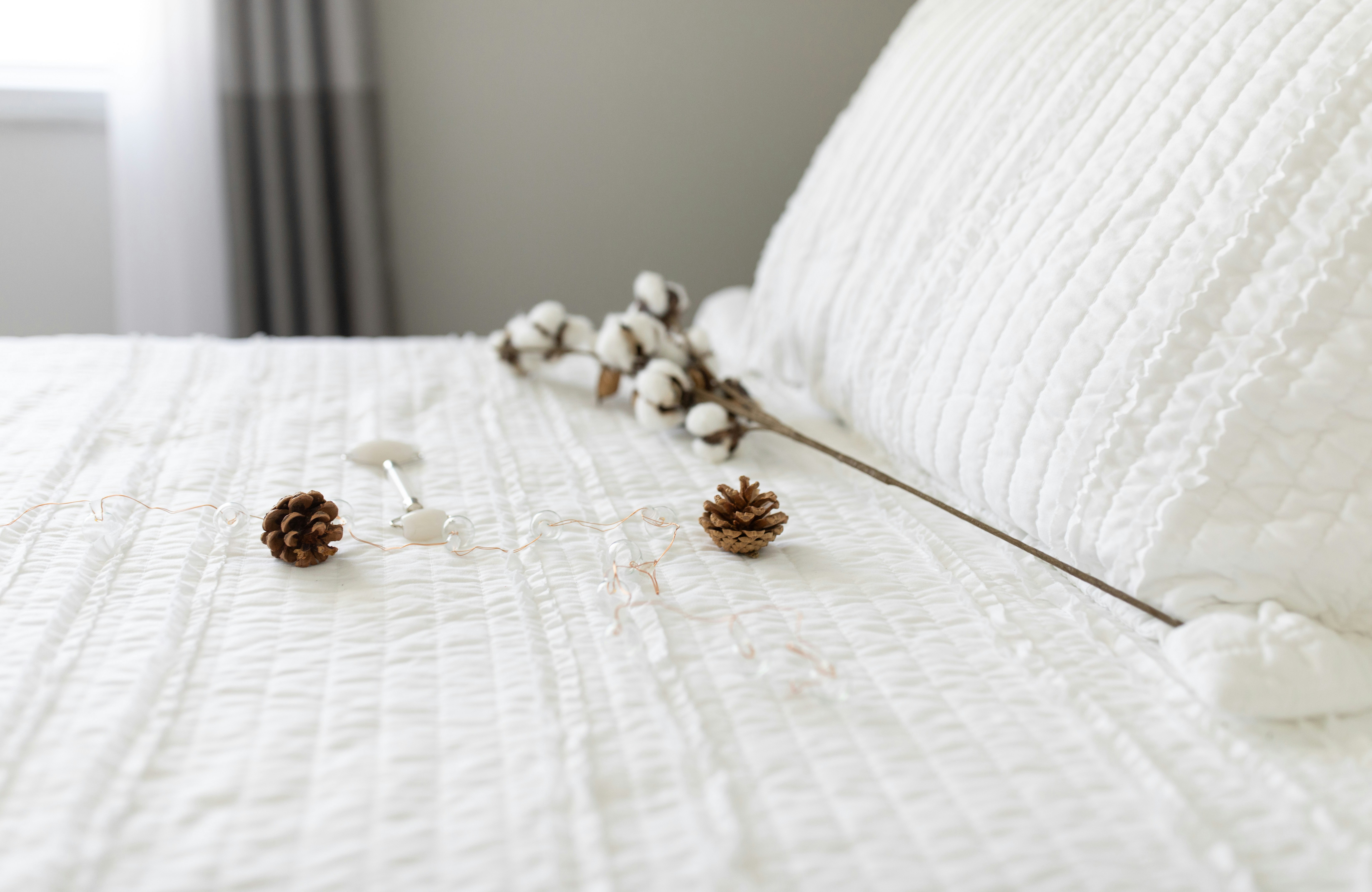 two brown pinecones near white cotton on bed, white, pinecones, christmas, winter, white, natural light