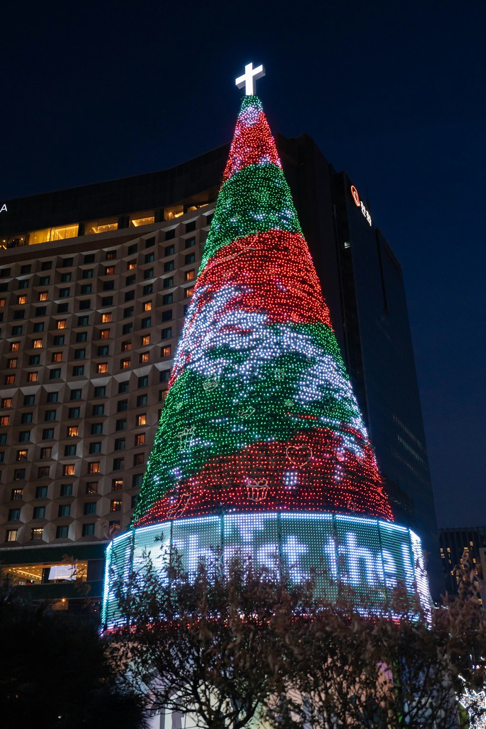 lighted Christmas tree beside building