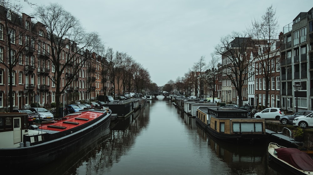 Barcos en el cuerpo de agua viendo diferentes vehículos al lado de edificios de gran altura