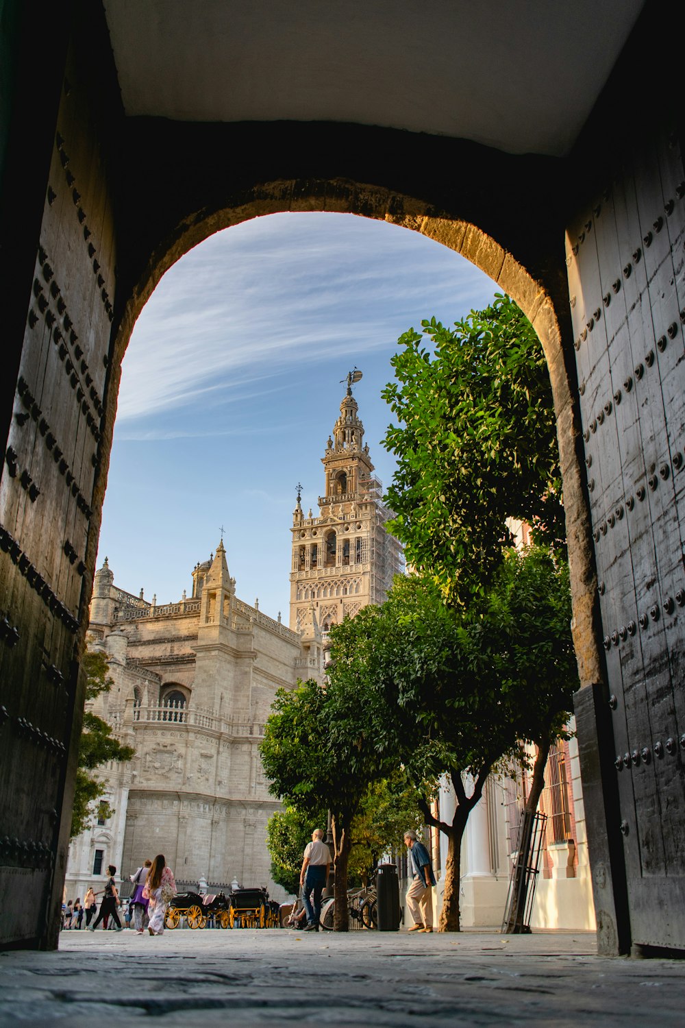 people, trees, tunnel, and buildings during day