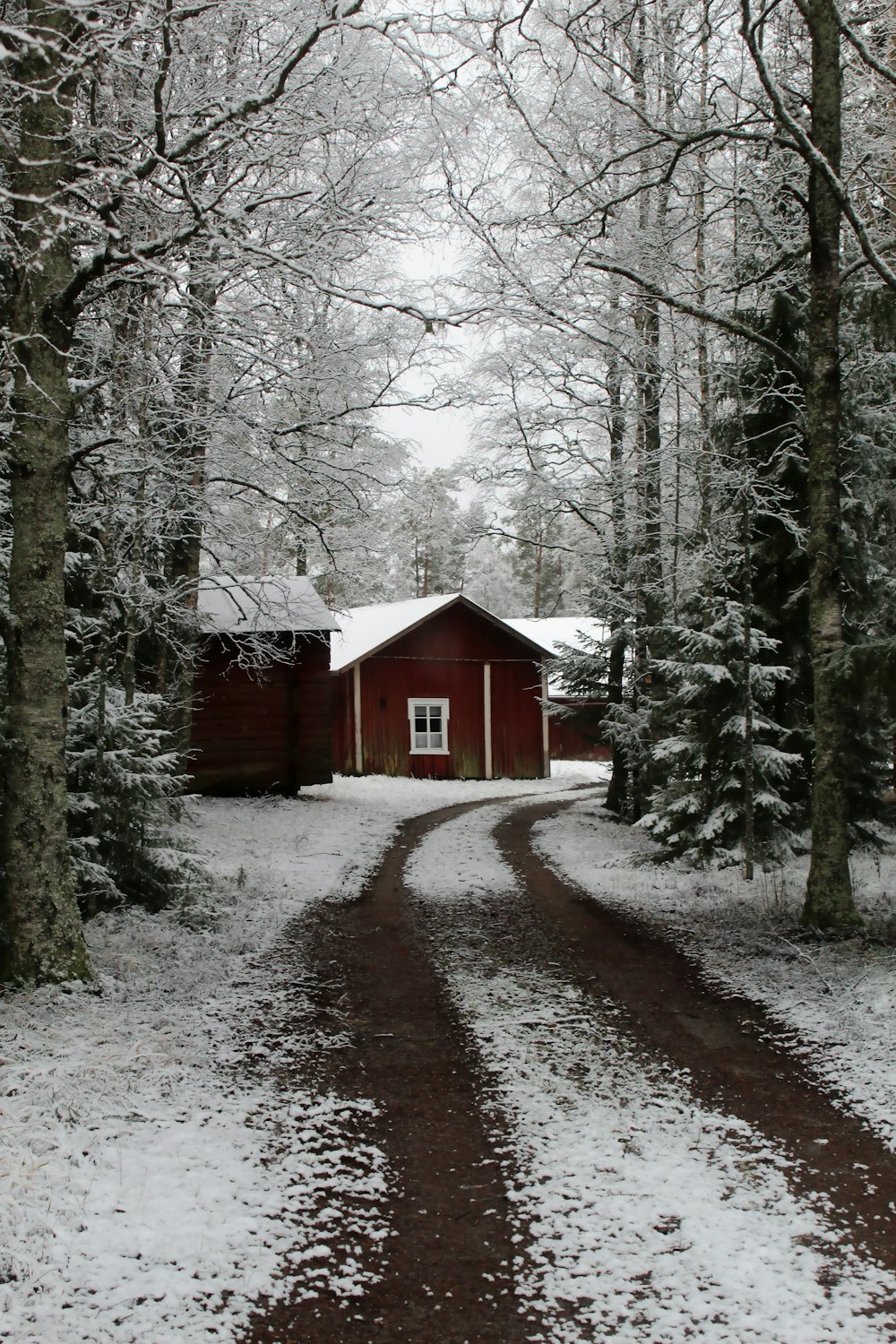 Weg, der zu Hütten in einem verschneiten Wald führt