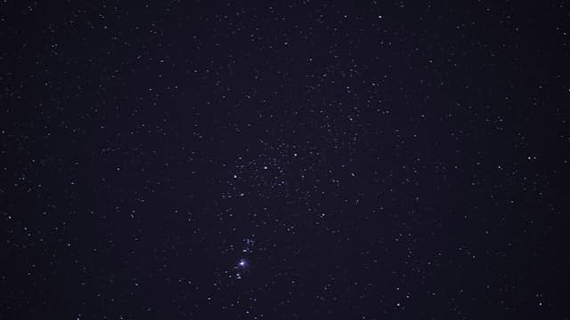 Orion