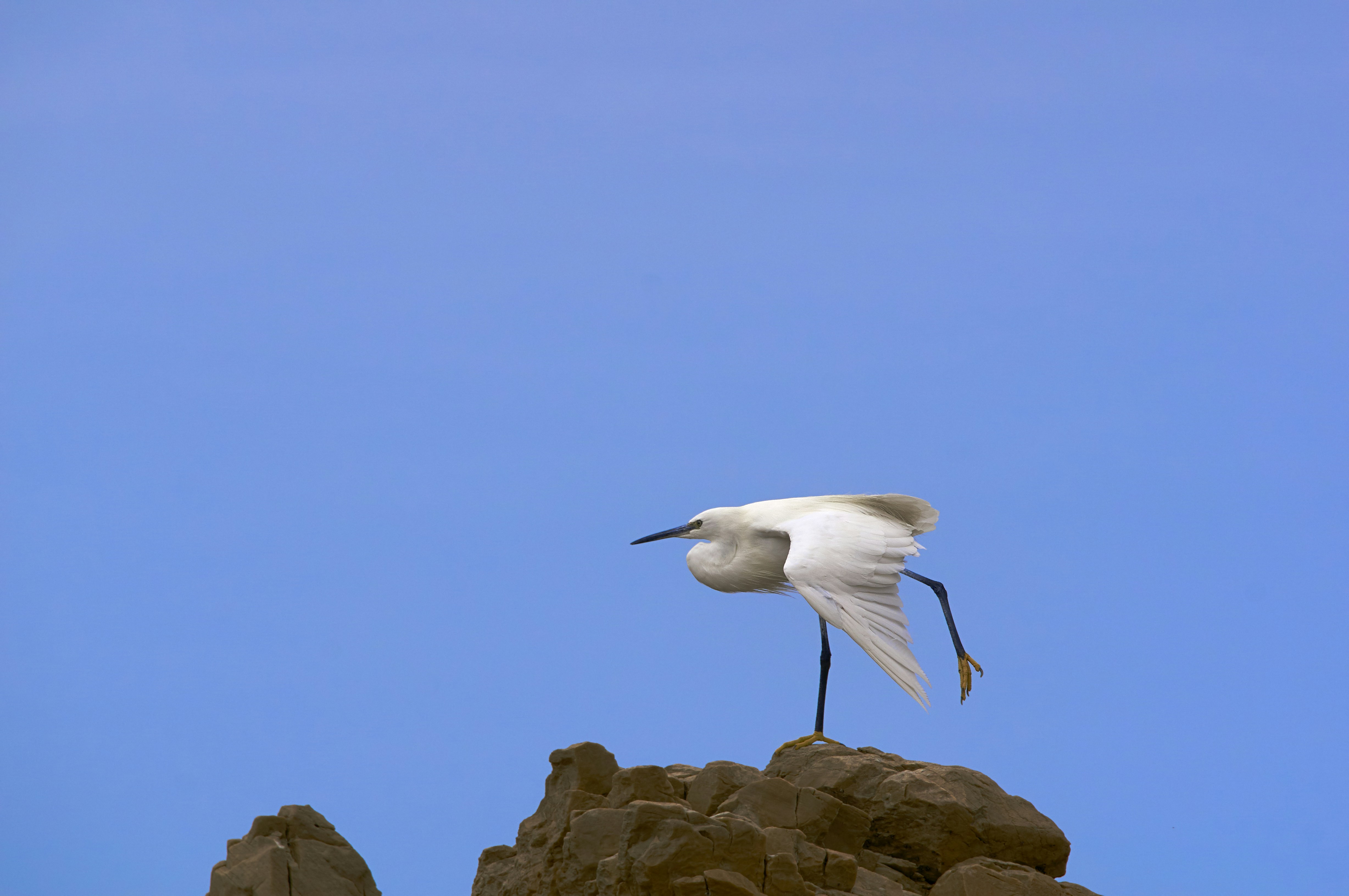 Photo by wolfgang_hasselmann