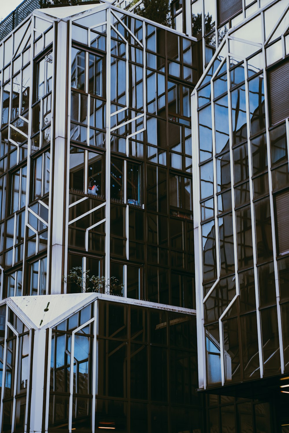 black glass building