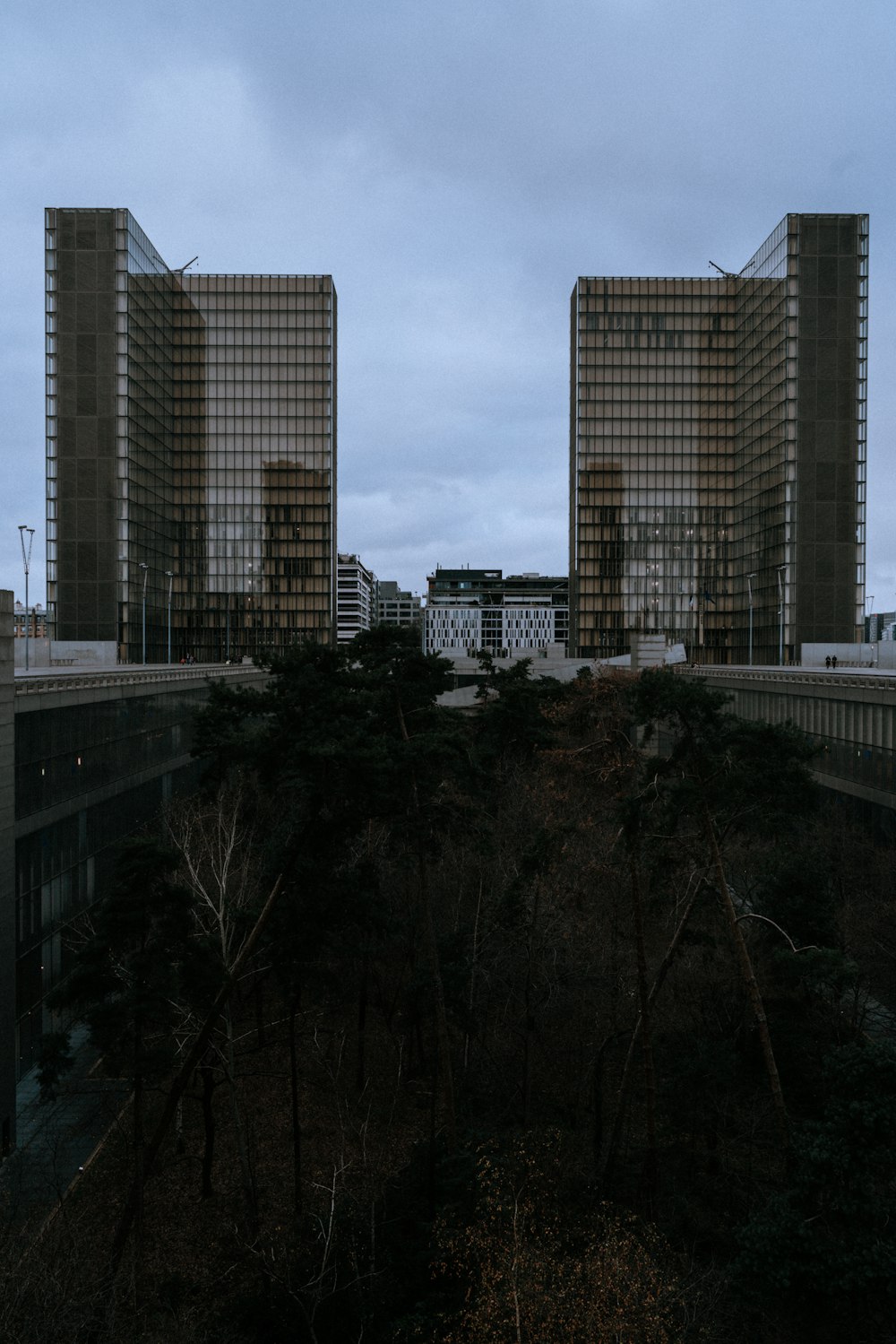 trees surrounded by building during daytime