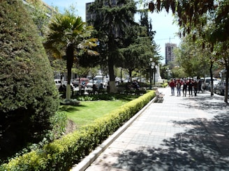 A vibrant street scene in Kharghar with families enjoying a sunny afternoon near lush green parks.