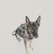 A German Shepherd wearing a harness with the label 'Non-stop' is sitting on a snowy surface. The dog's ears are perked up, and it appears alert and attentive. The fur is a mix of black and tan colors, with a focused expression on its face.