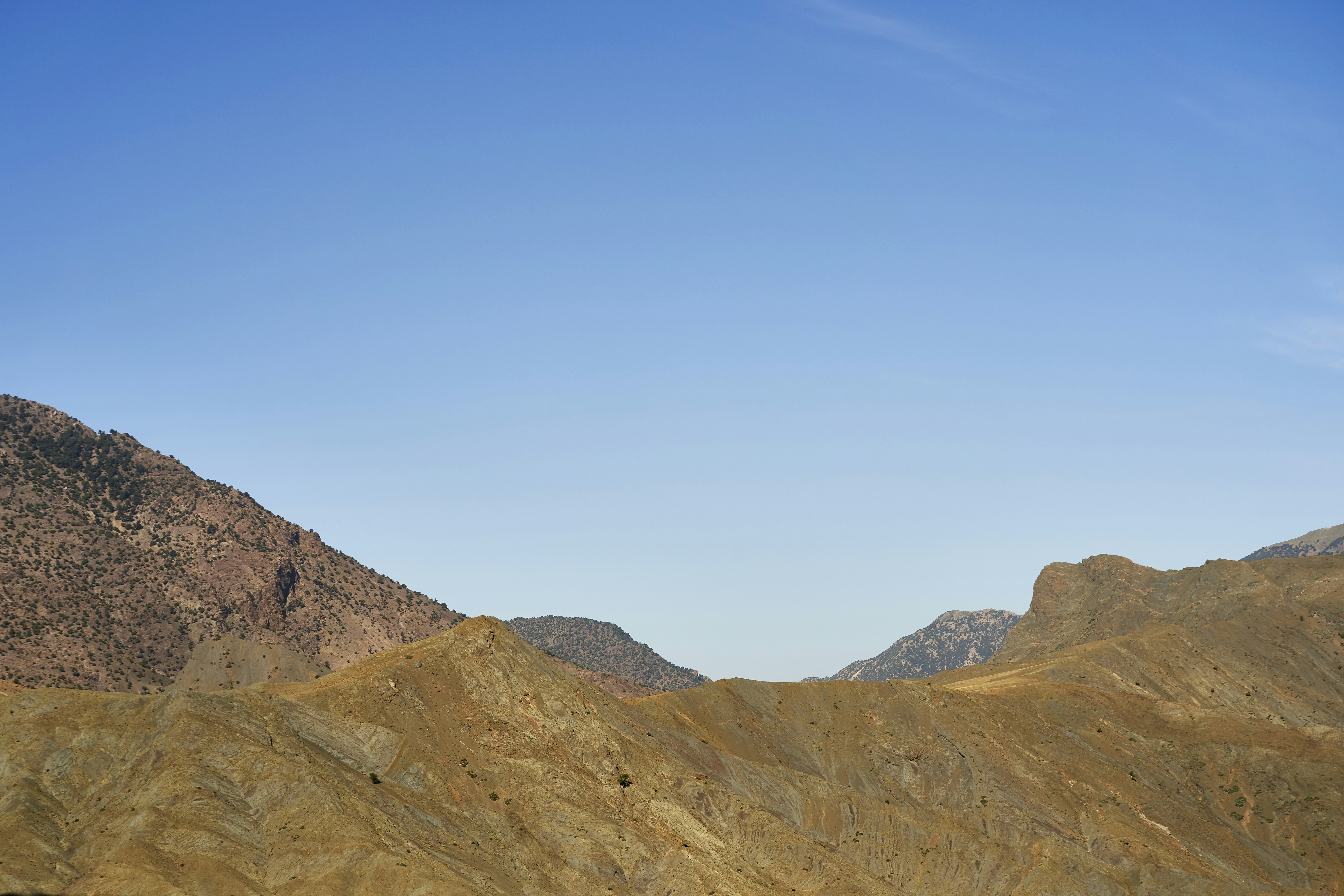 Photo by wolfgang_hasselmann