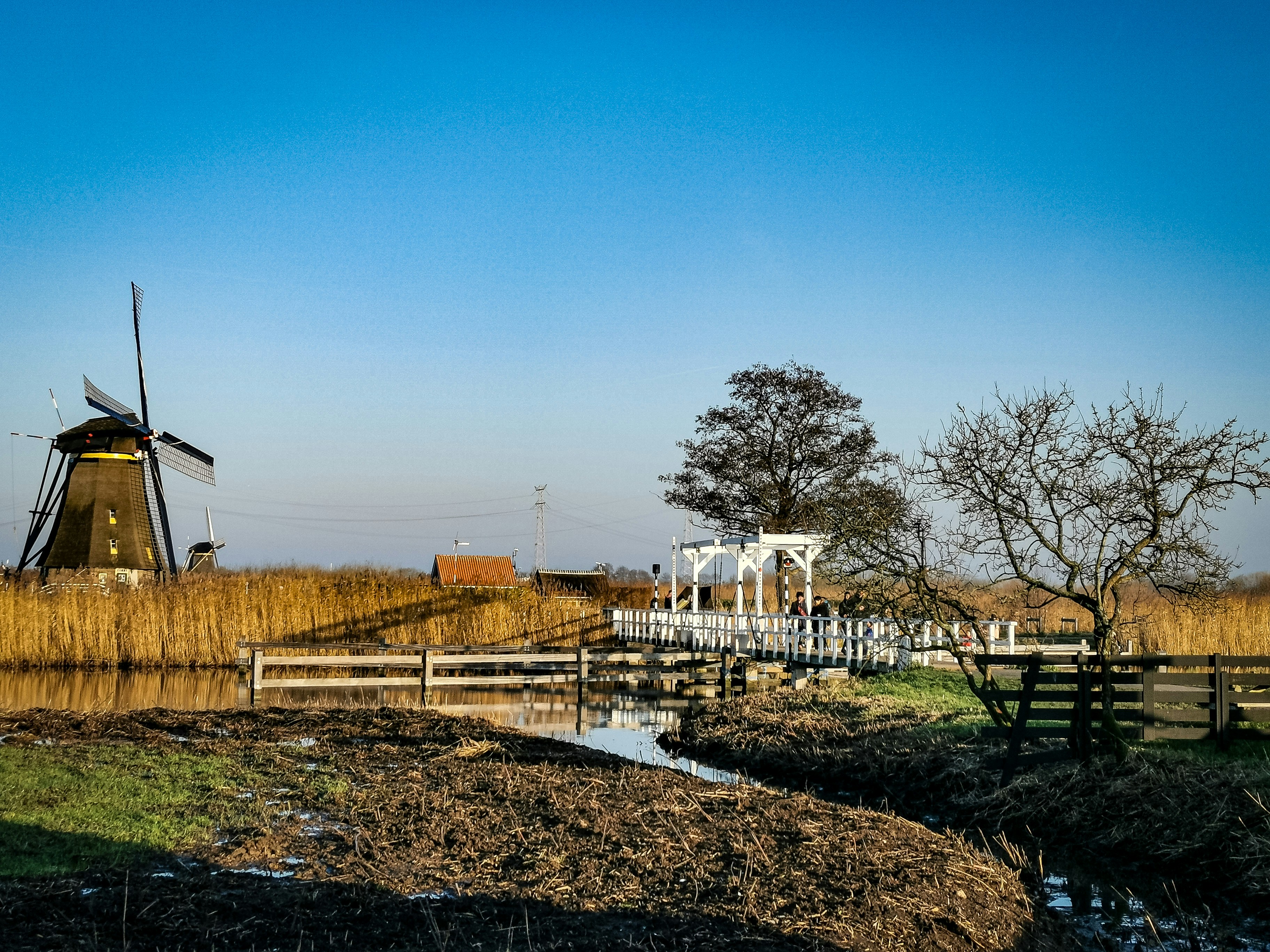 brown and black windmill photogrpah