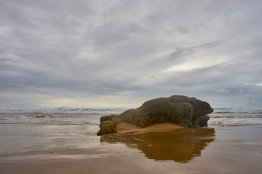 rock on shore during day