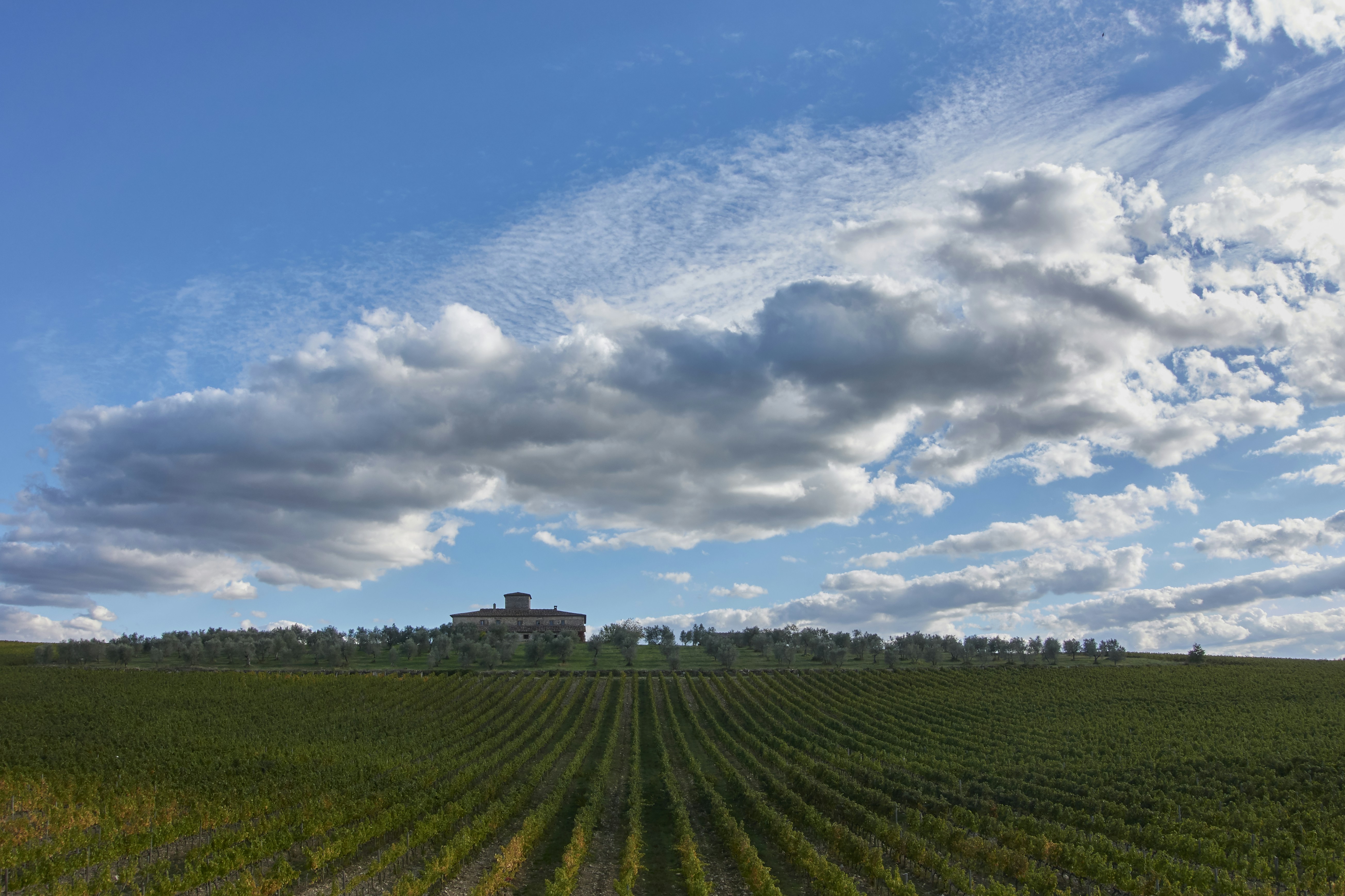 Photo by wolfgang_hasselmann