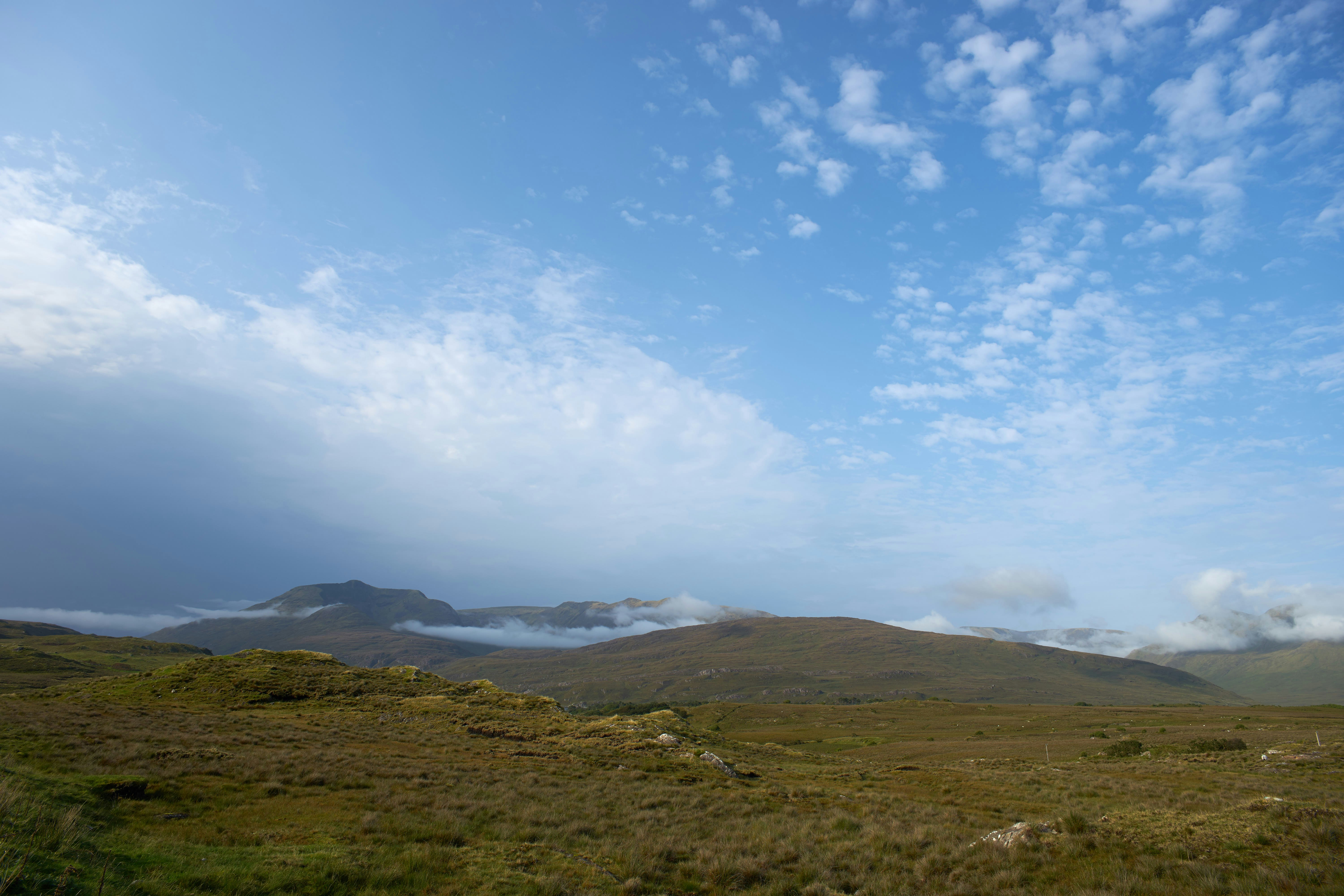 Photo by wolfgang_hasselmann