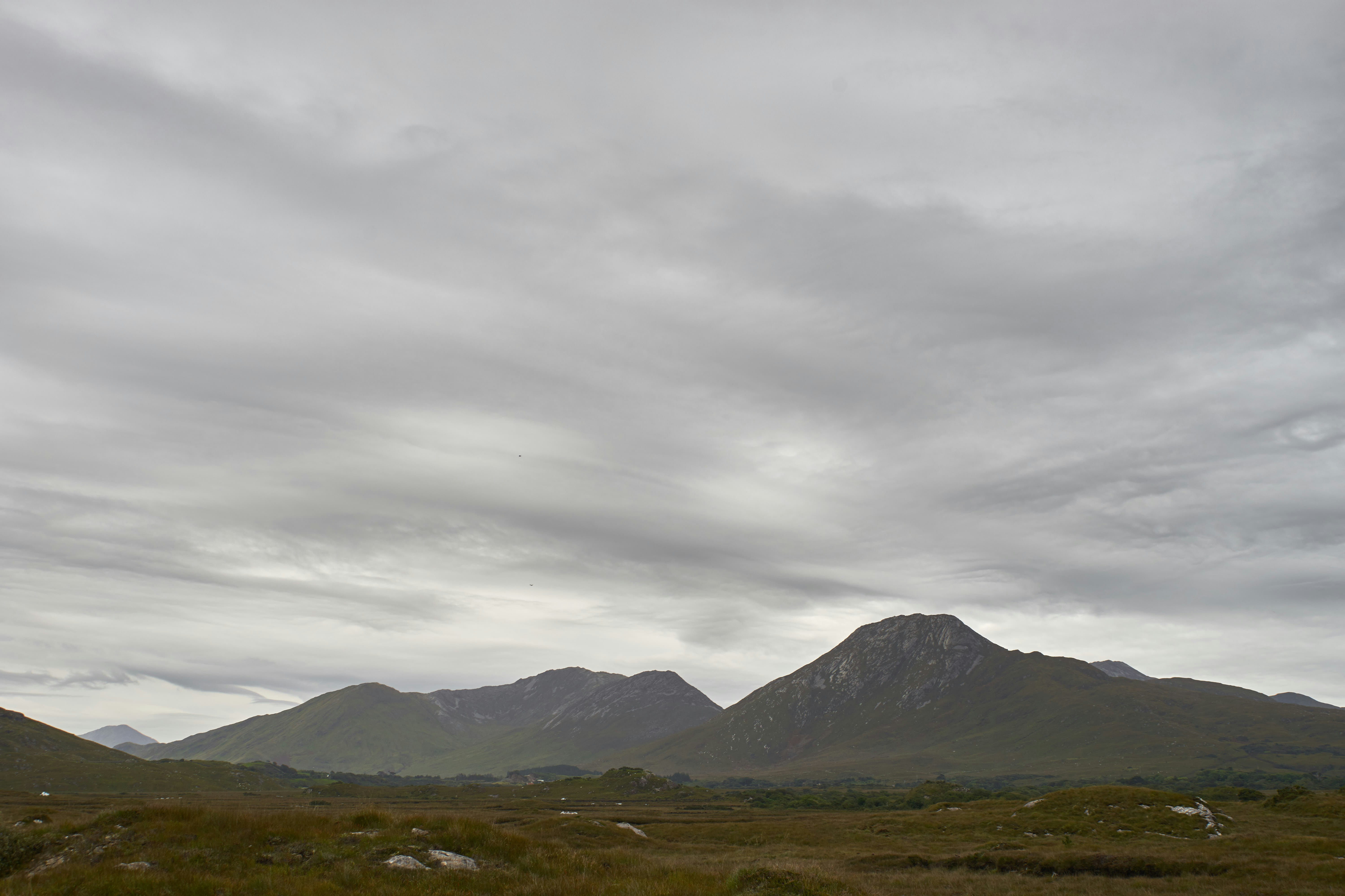 Photo by wolfgang_hasselmann