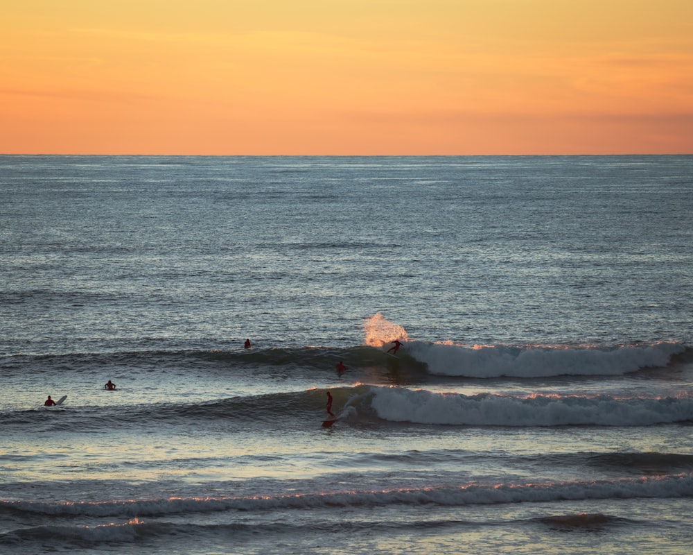 people in sea during golden hour