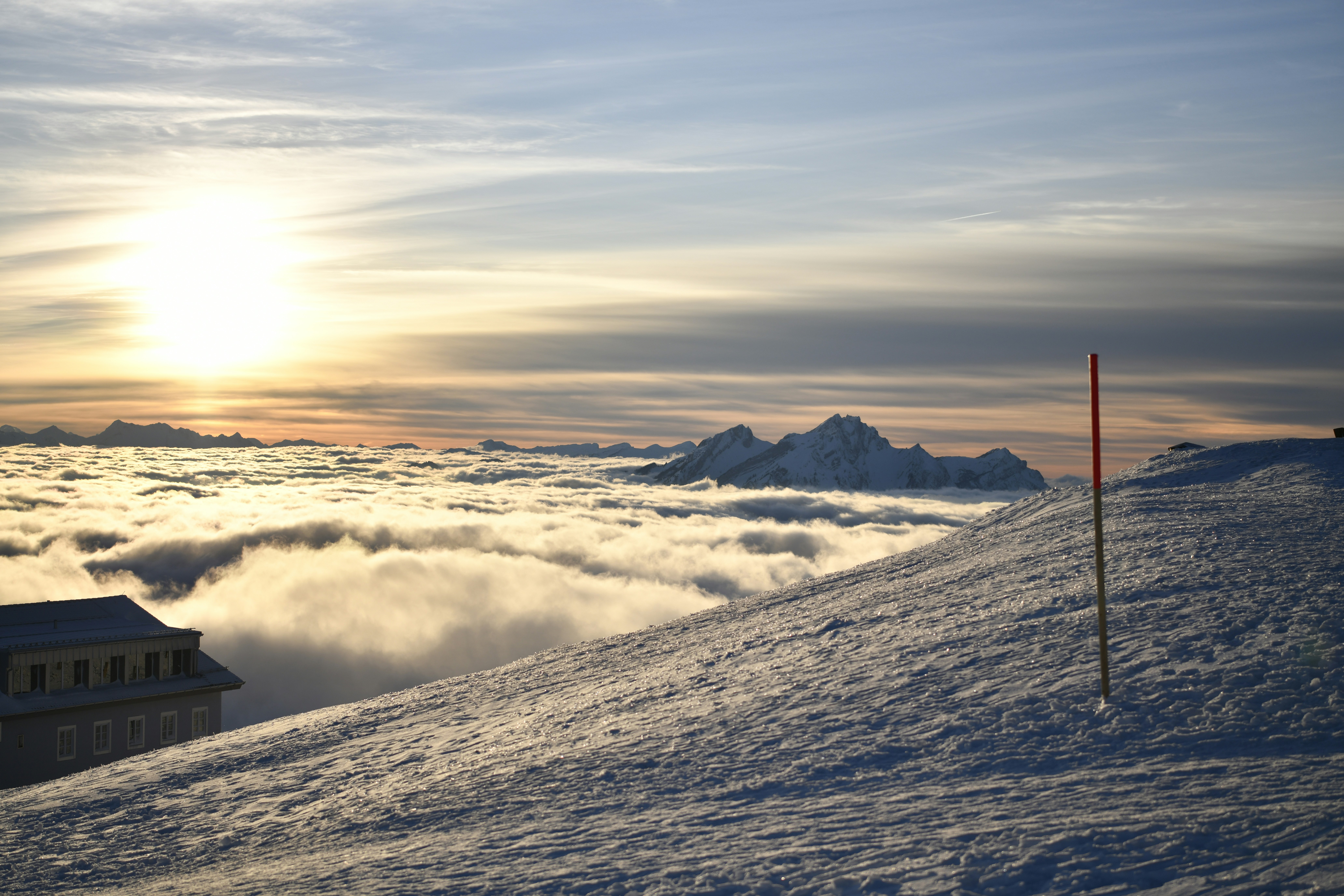 Fotografie Pictures | Download Free Images on Unsplash