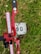A red adjustable archery sight with measurement markings is in focus, set against a grassy background with a painted number 30 on a white block. The sight includes a small circular aiming aperture.
