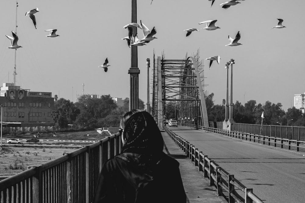 birds flying above bridge