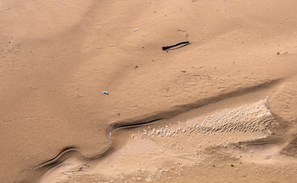 wet sand during daytime