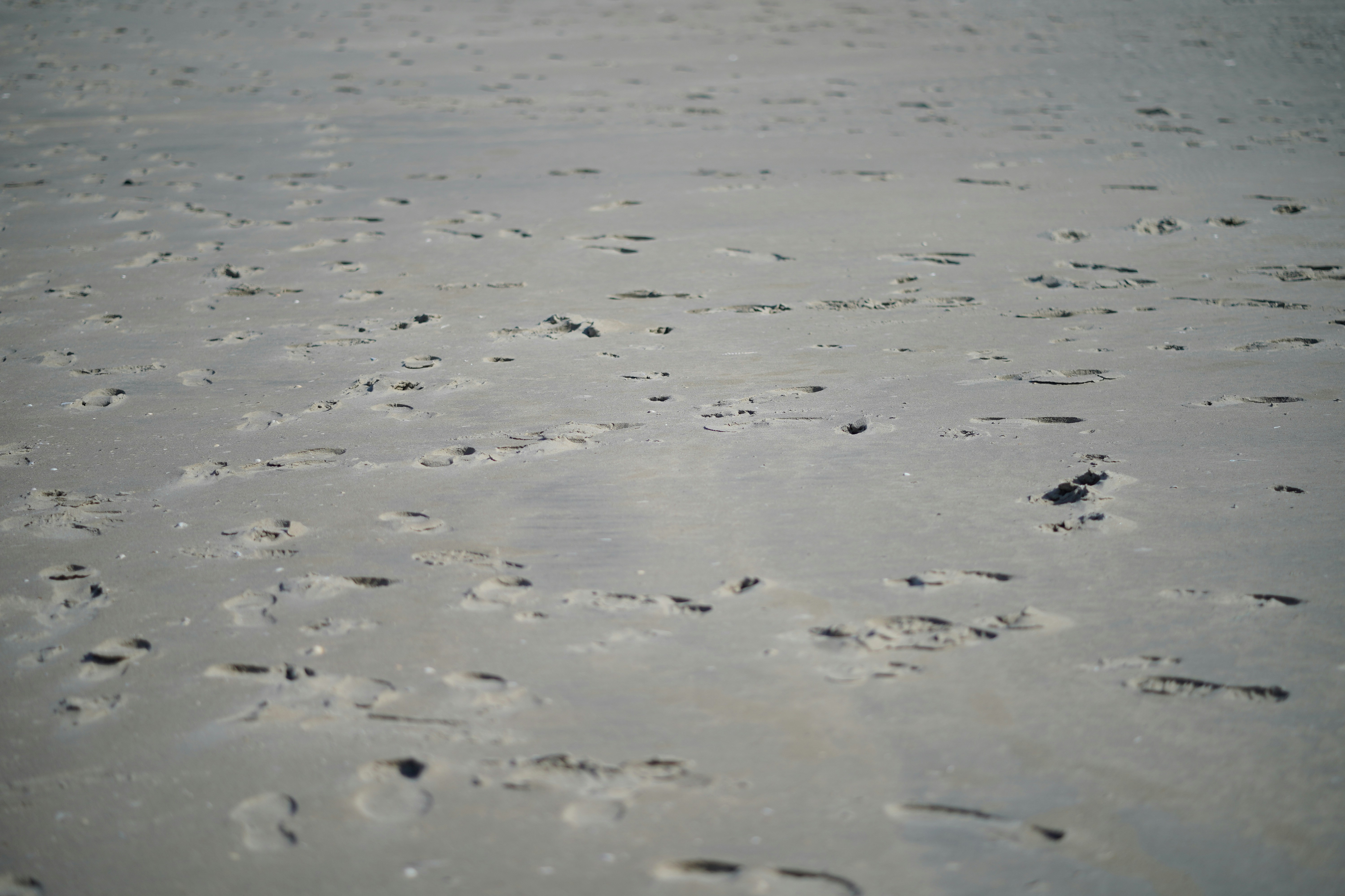 Photo by ayeltvanveen