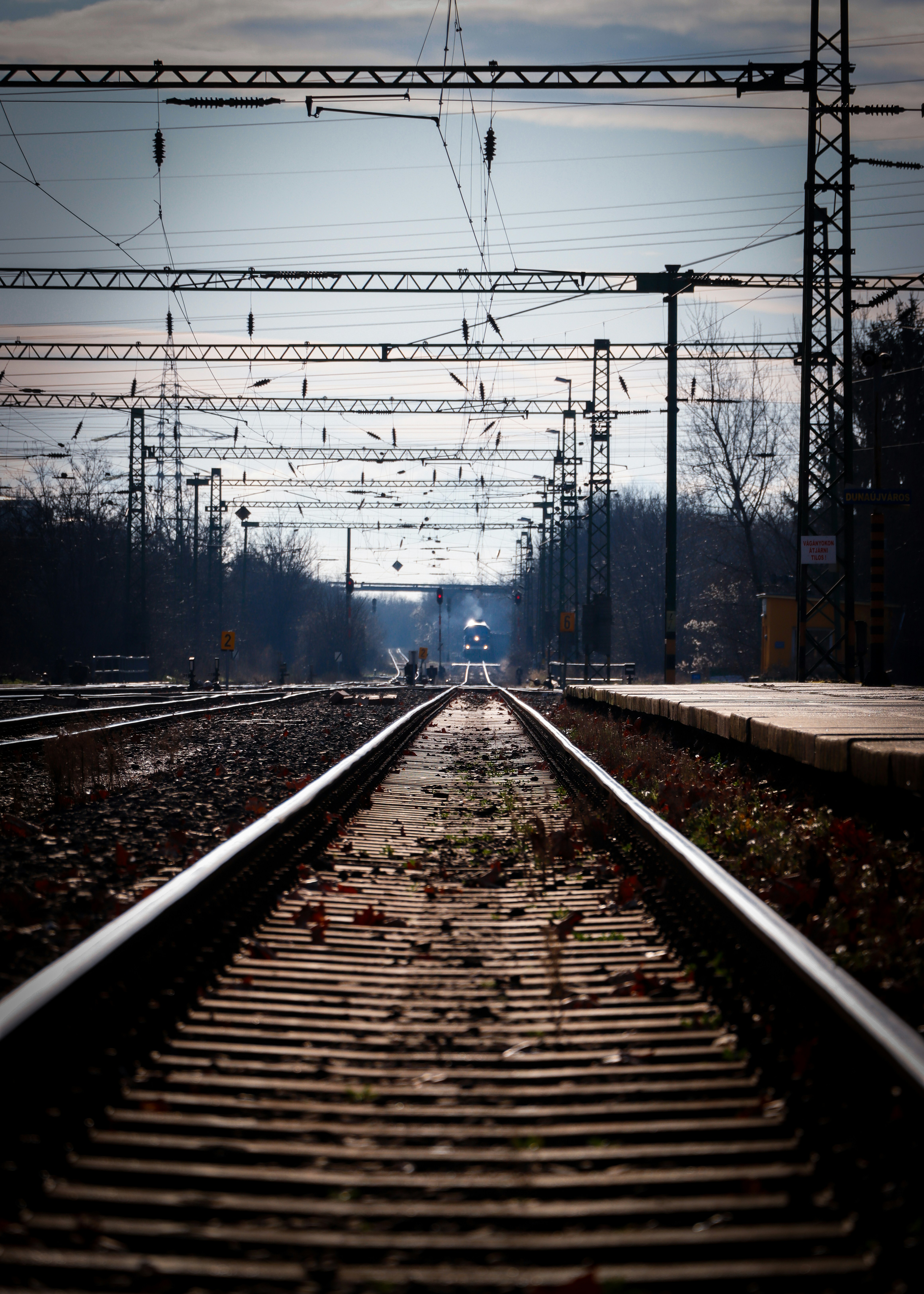 The Scaling Trap: Why Promising Technologies Fail to Reach Market