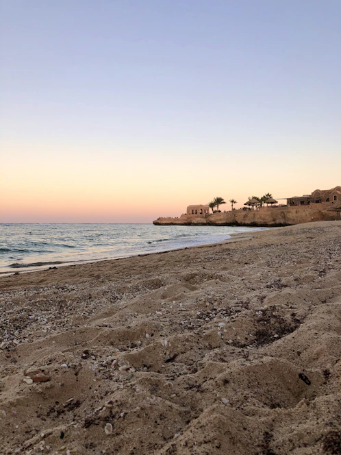 seashore during golden hour