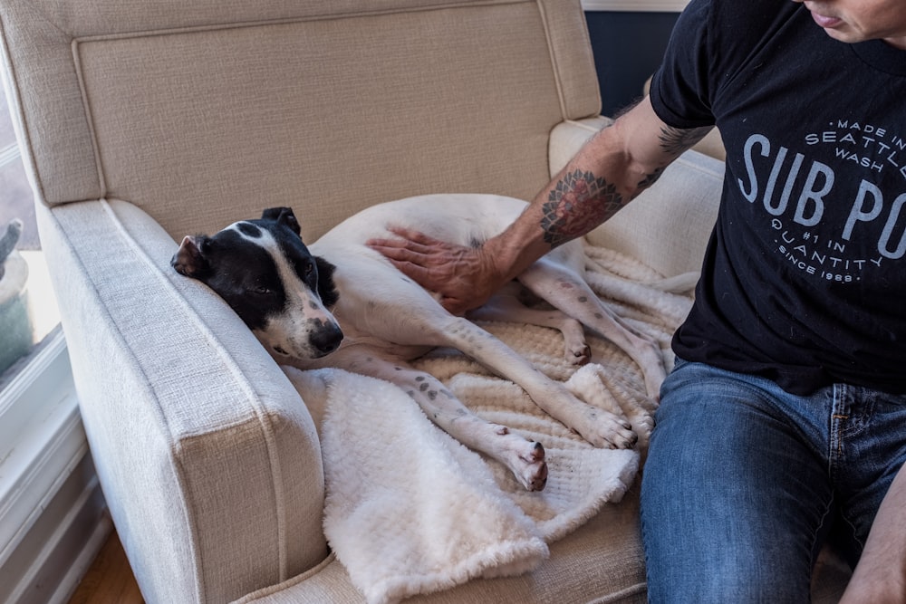 person petting lying down dog