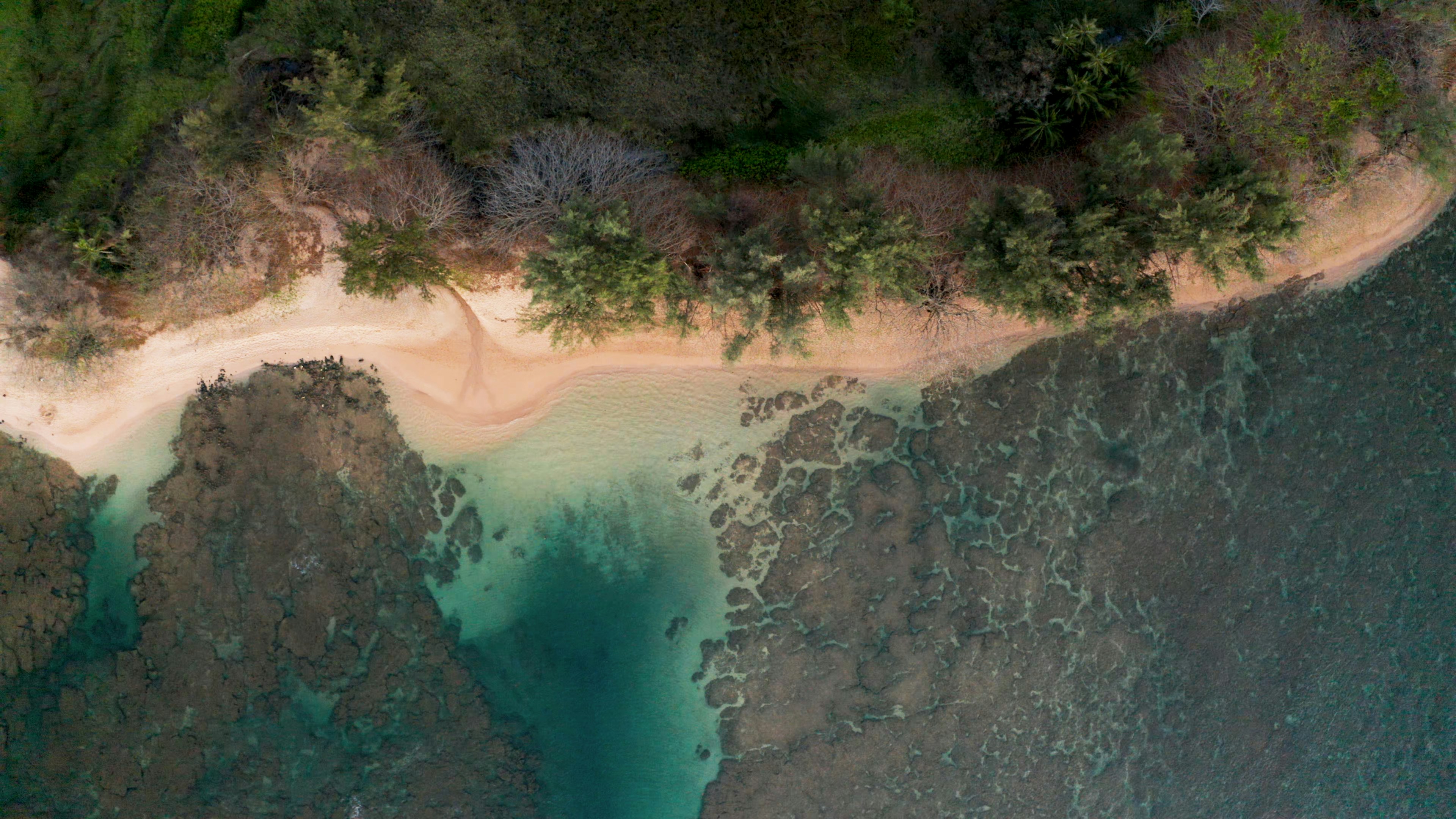 aerial view of shore, Aerial view of ocean, sand beach and rocks in Hawaii.
