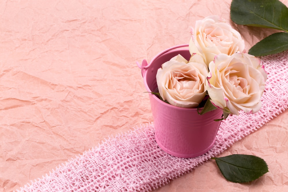 white roses in pink metal bucket