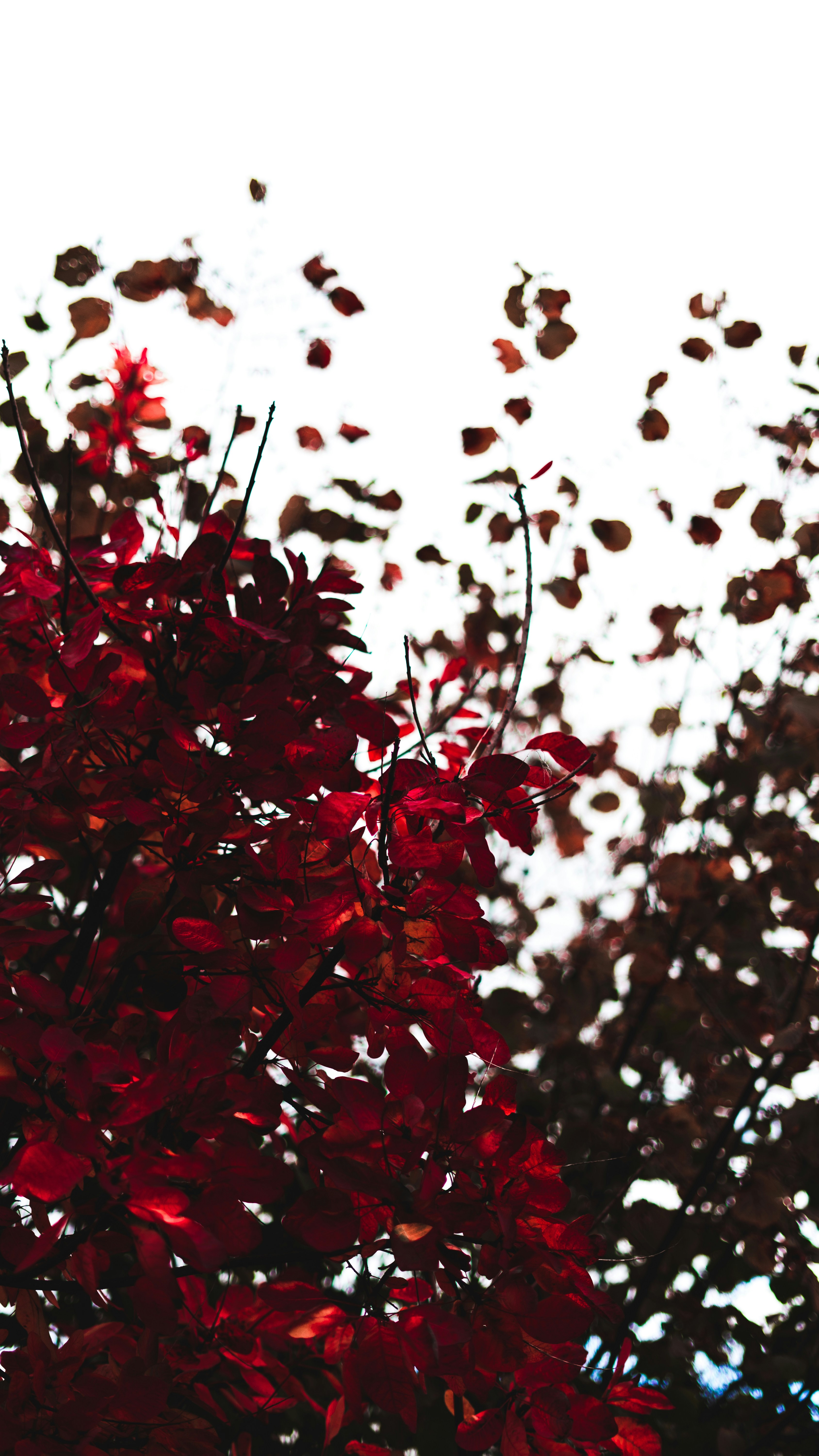 Photo by virussinside