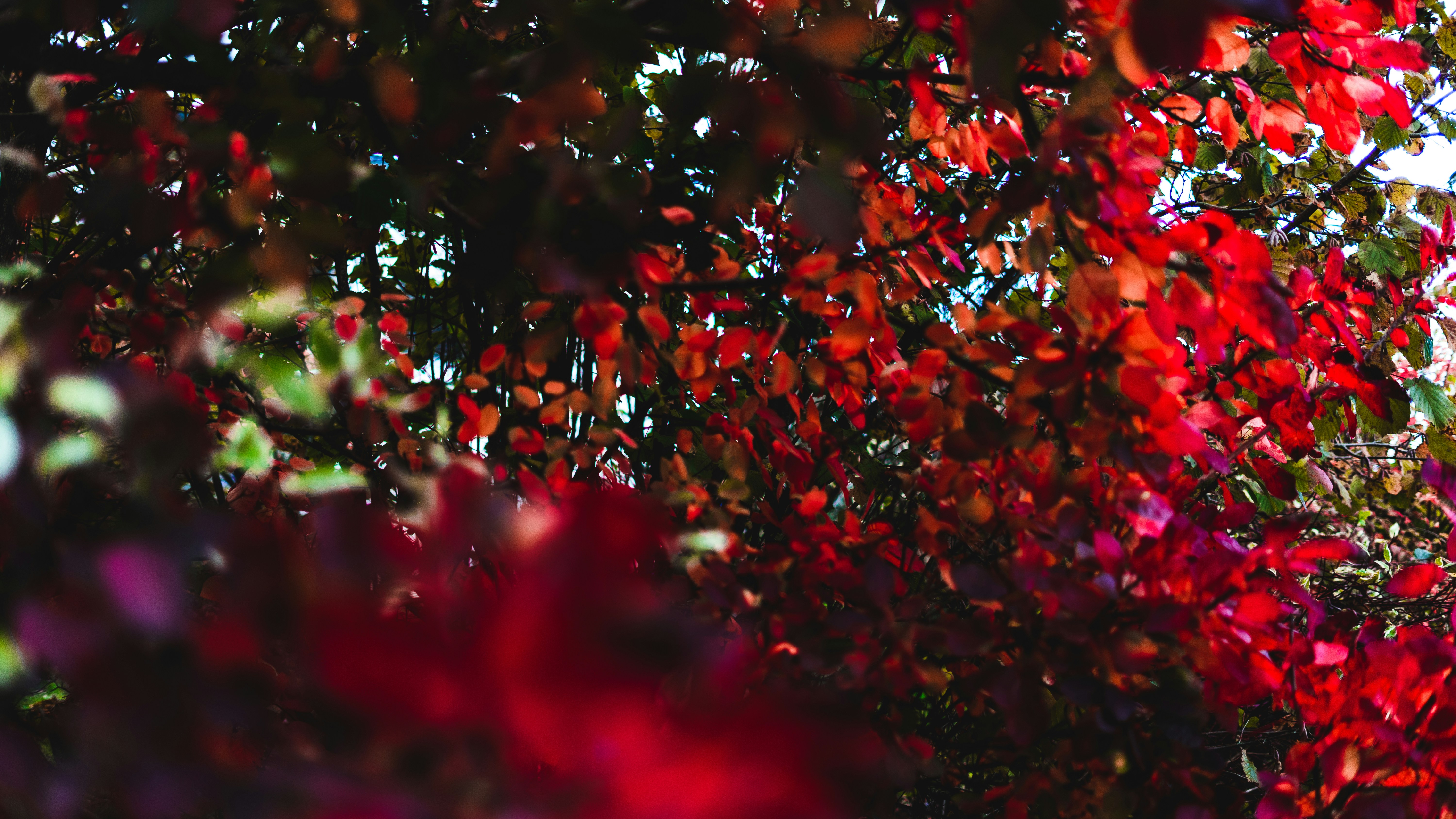 Photo by virussinside