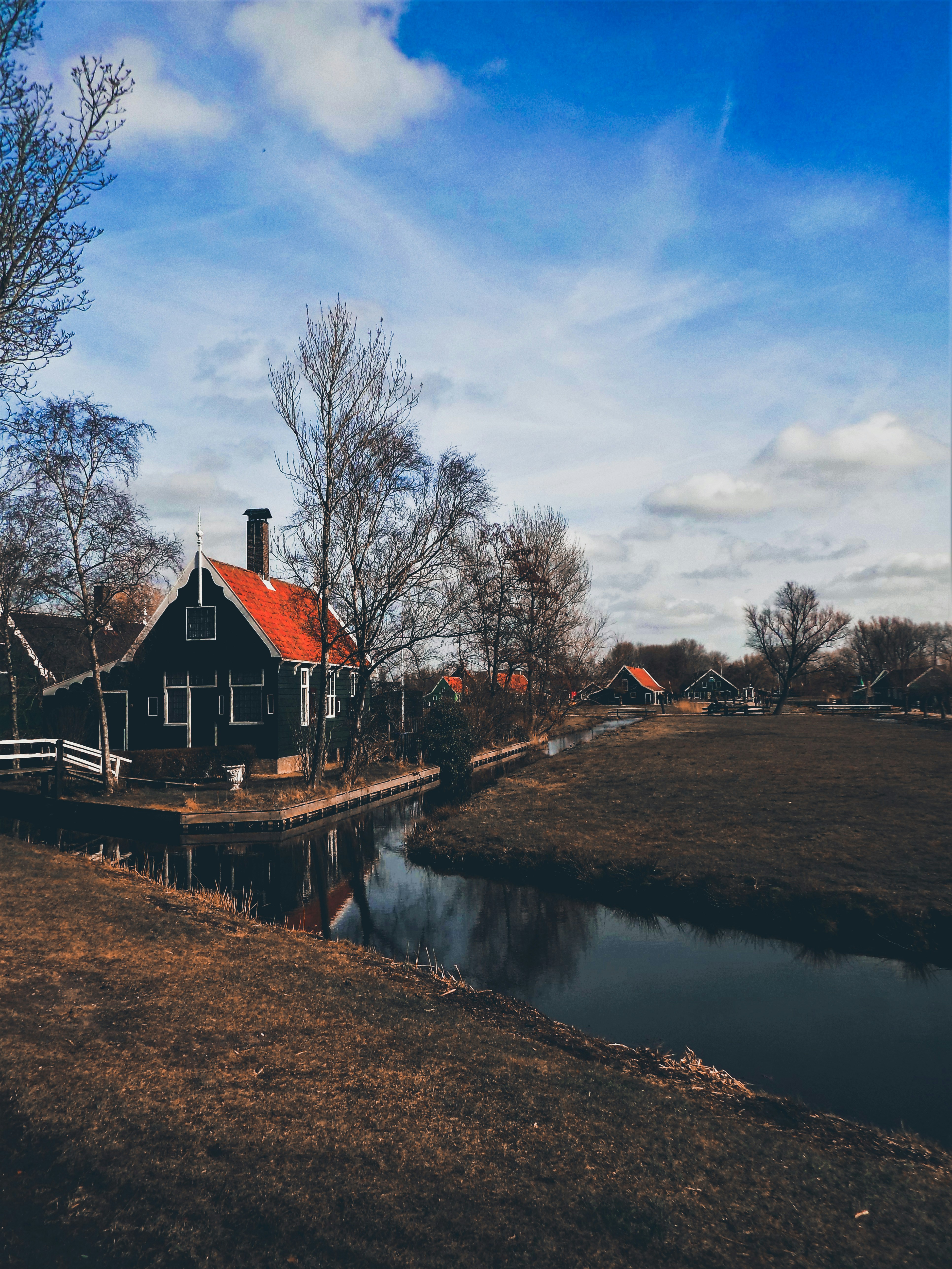 Photo by bizarretribe