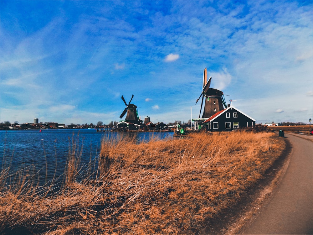 white and black house beside windmill