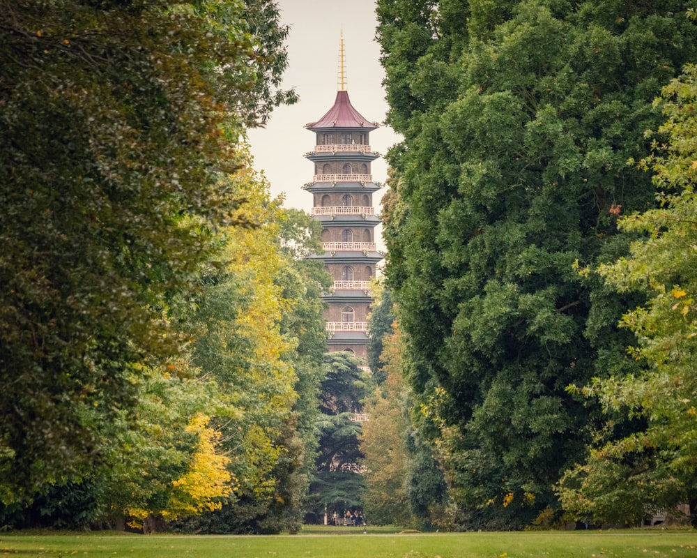 temple between trees