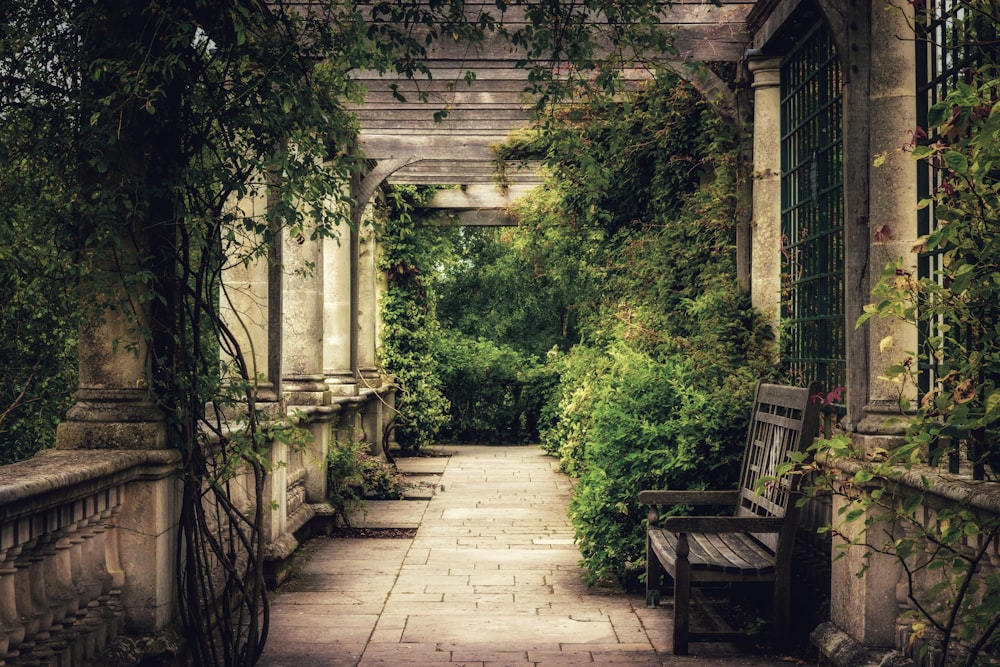 bench beside hedges