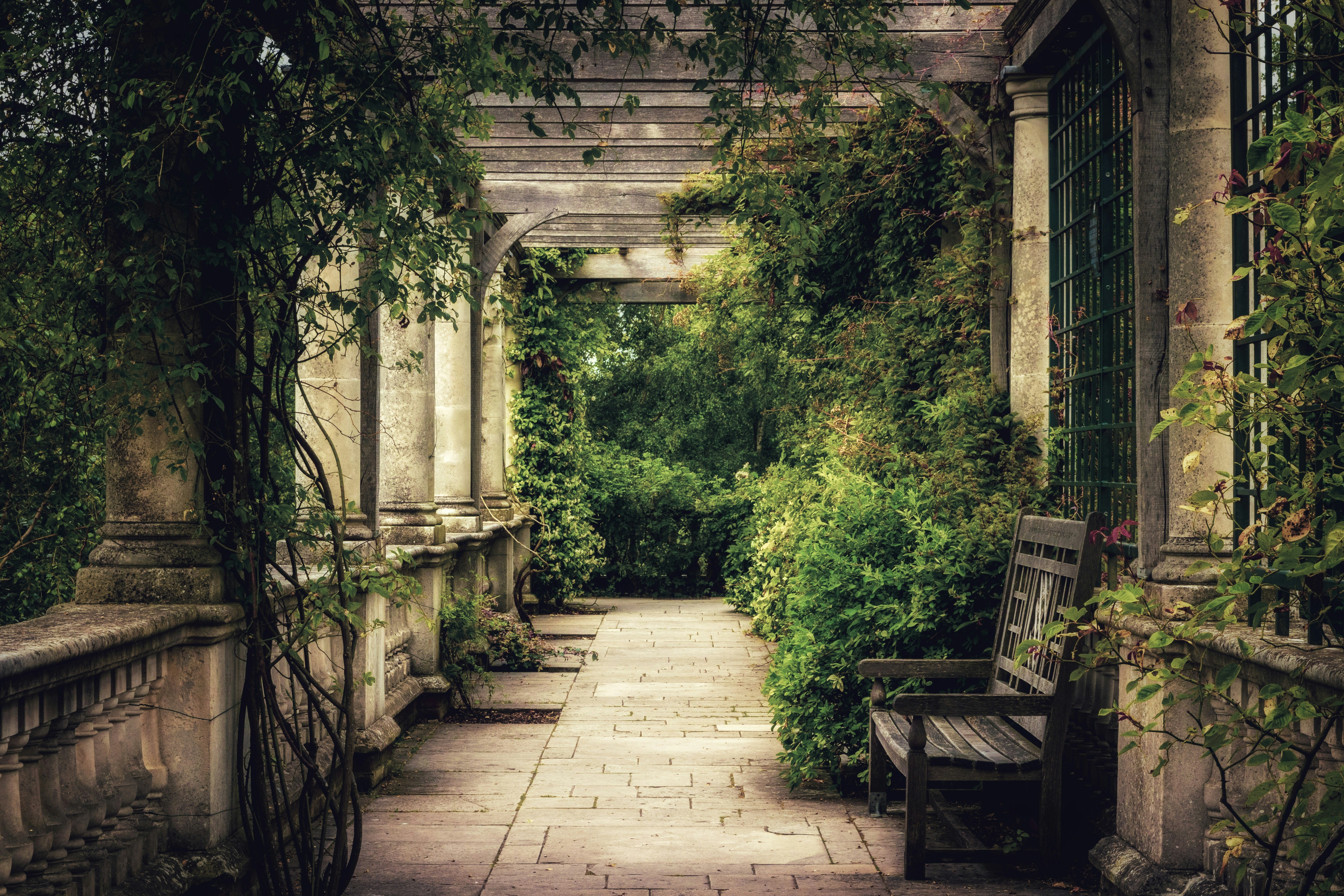 The Accidental Zen Garden - Finding Mindfulness in Unexpected Places