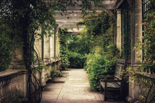 Hedge Garden
