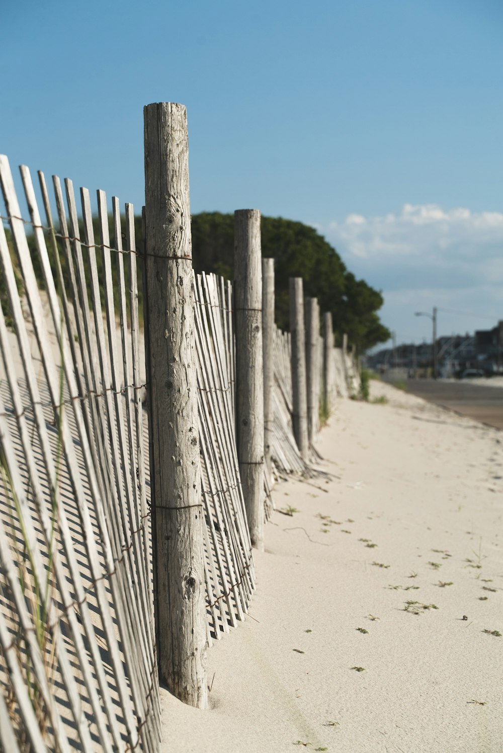 wooden fence on shore