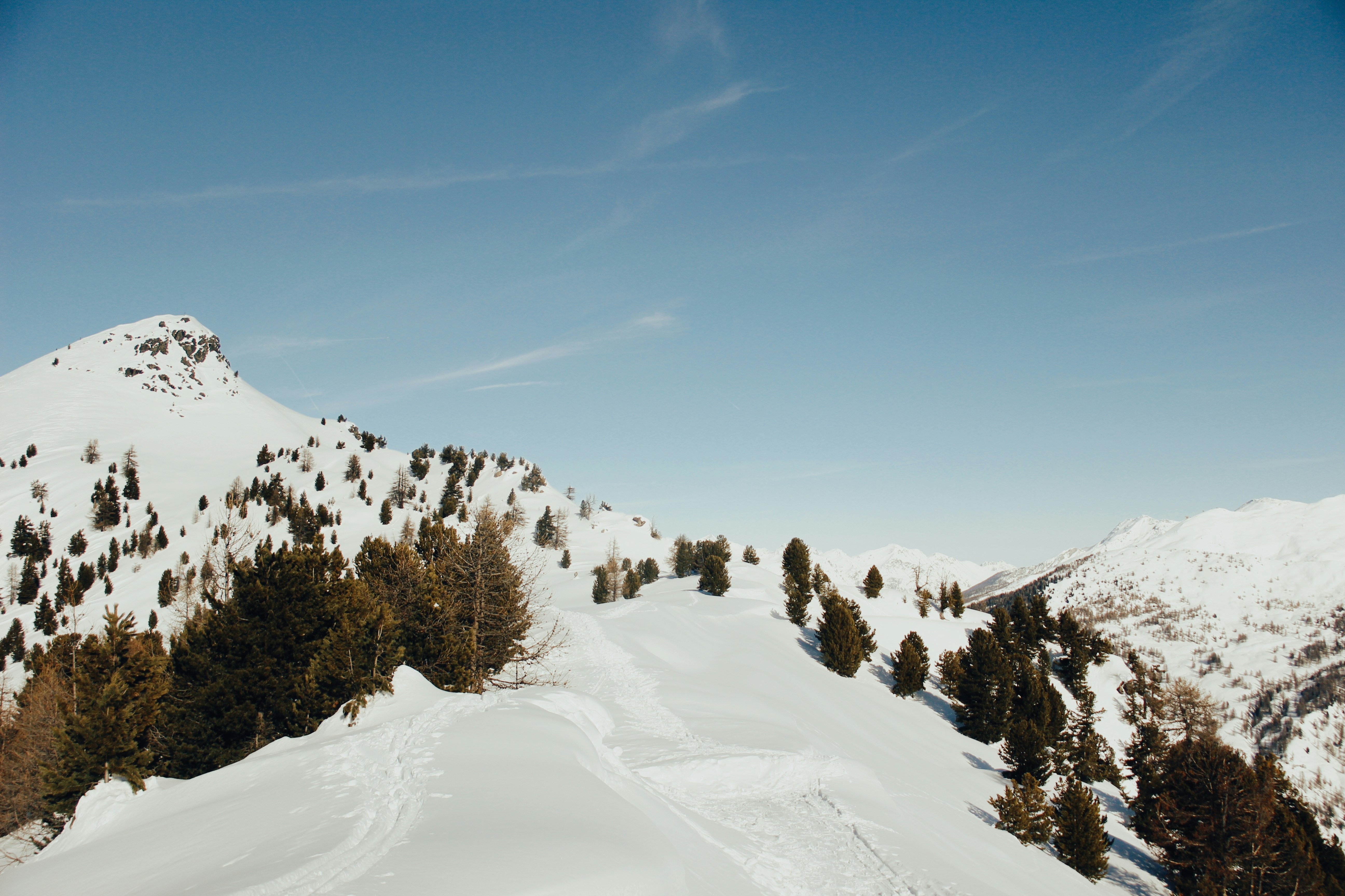 Photo by frensisalberti