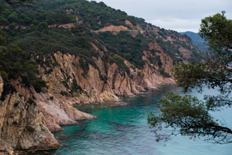 mountains near body of water