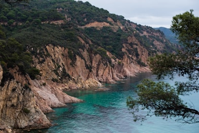 mountains near body of water