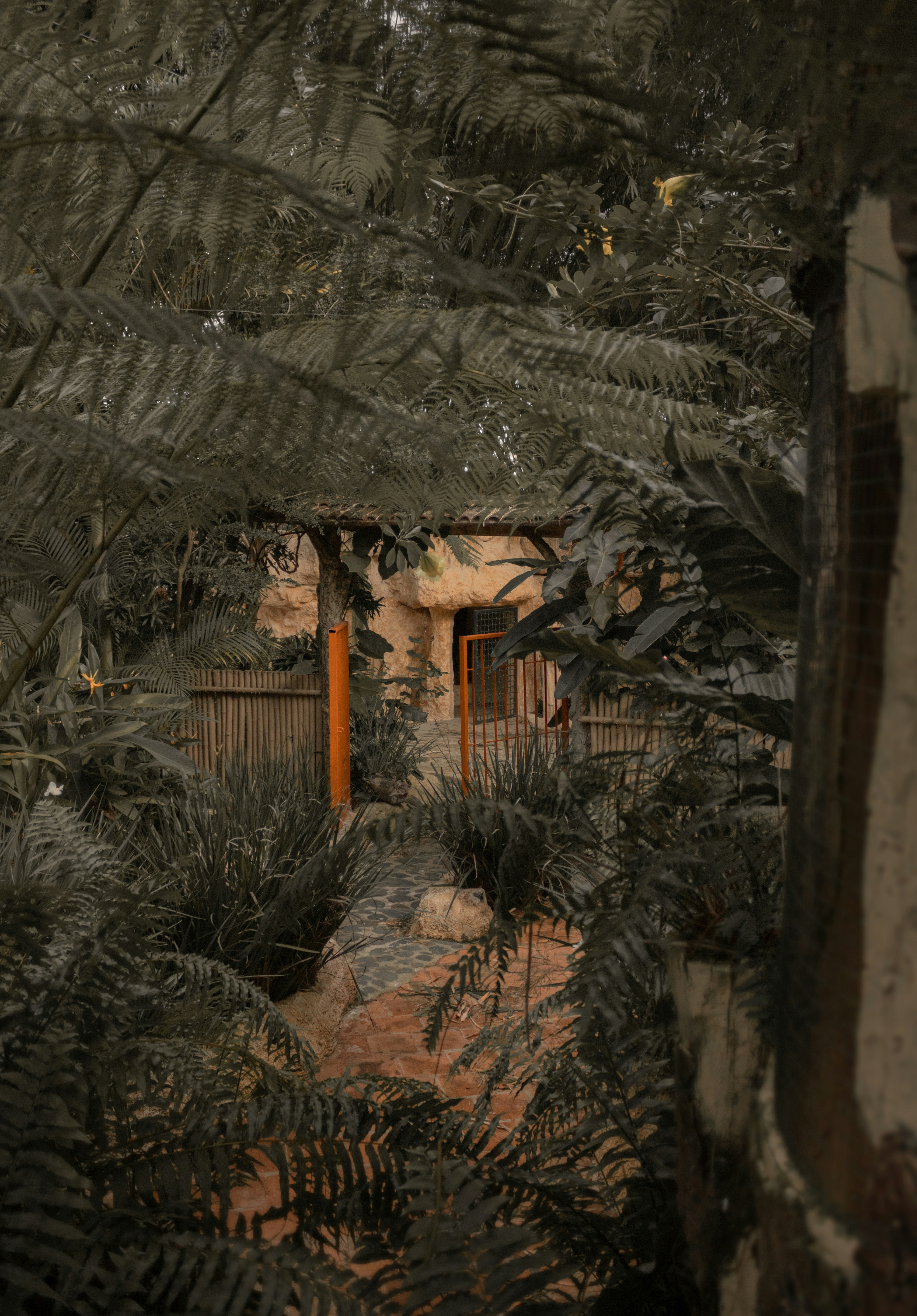 Photo by hectorrodriguezbosch