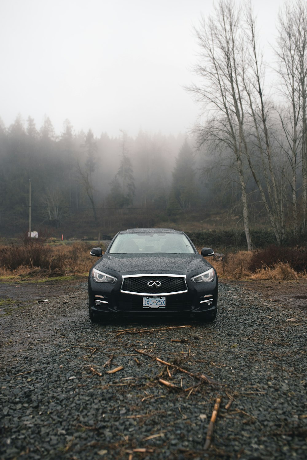 black Infiniti car parked near bare tree