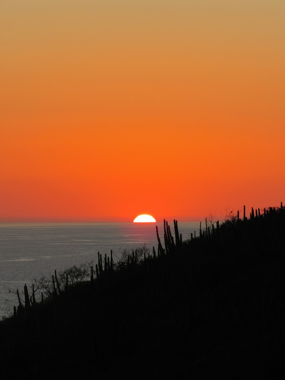 the sun is setting over the ocean on a hill