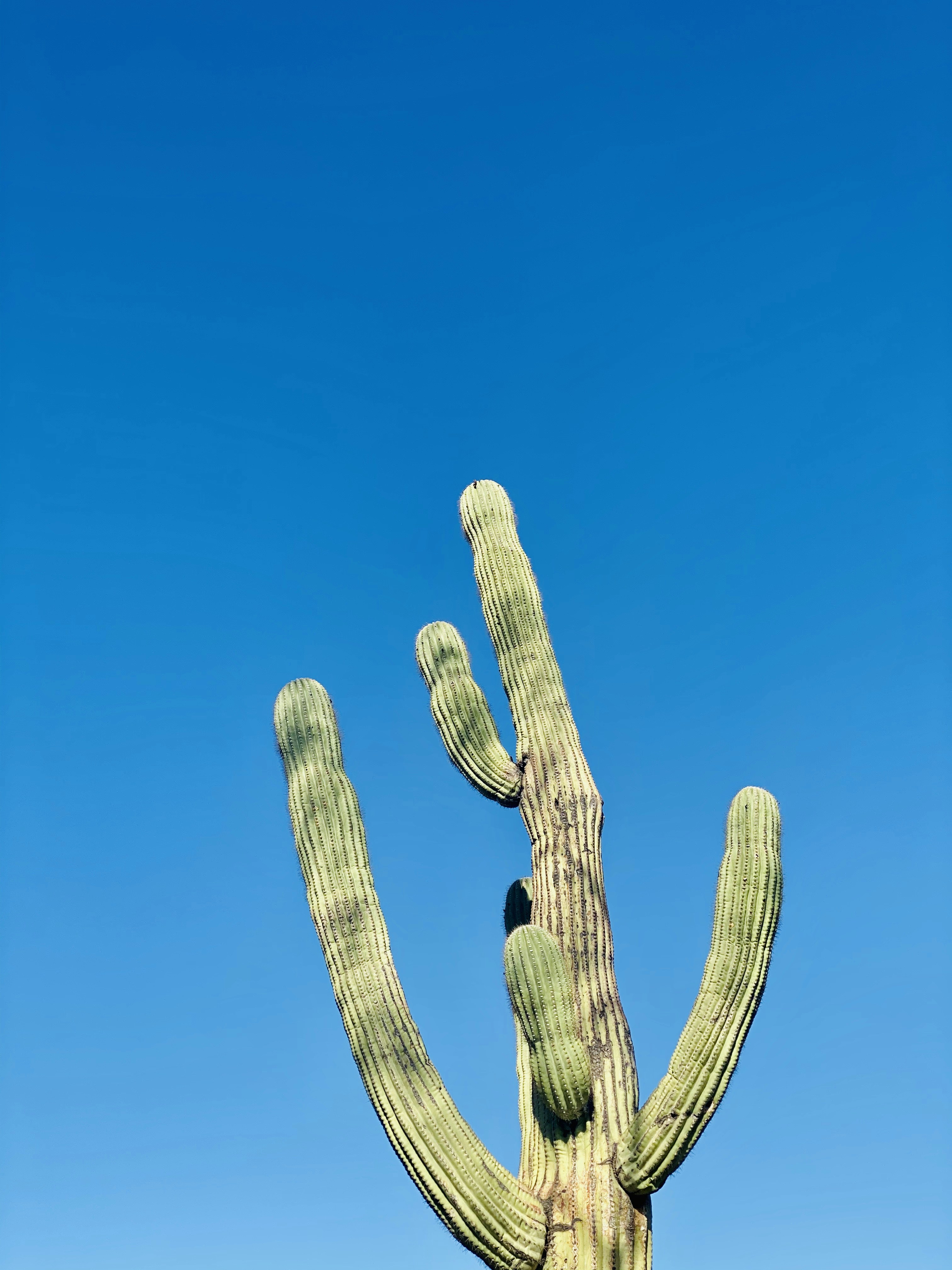 Photo by stevensonterry